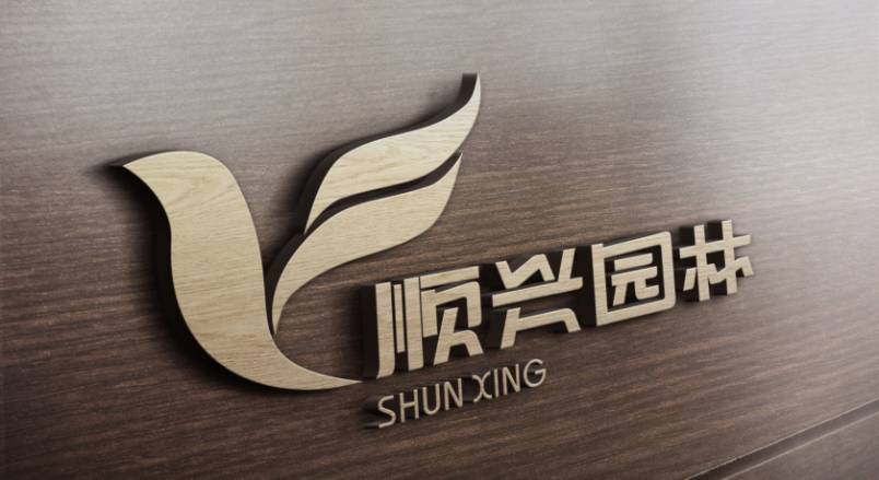 揭西县VI设计：城市品牌蝶变的核心引擎